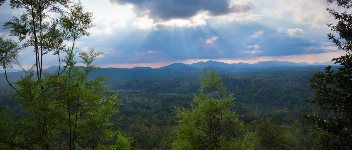 Coorg Cliffs, honey moon suite, Resorts and Spa